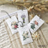 MYARO 12 Packs Lavender Scented Sachets Air Freshener for Drawer and Closet, Long-Lasting Sachets Bags Drawer deodorizers Fresh Scents, Home Fragrance Sachet for Lover