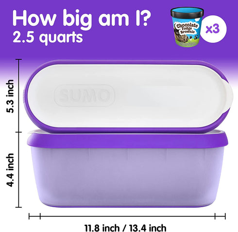 SUMO Ice Cream Containers for Homemade Ice Cream - 2.5 Quart Jumbo Size, Reusable Storage Tubs with Lids (1 Container, Purple)