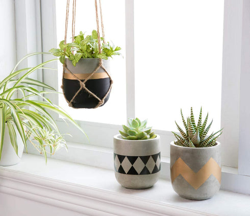 Mkono Cement Succulent Planter Set of 3 Concrete Plant Pots Modern Flower Pots Indoor for Cactus Herb or Small Plants Home Decor Gift Idea (Plants NOT Included), 4"