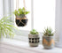 Mkono Cement Succulent Planter Set of 3 Concrete Plant Pots Modern Flower Pots Indoor for Cactus Herb or Small Plants Home Decor Gift Idea (Plants NOT Included), 4"