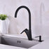 TUTEW Built in Sink Soap Dispenser, Kitchen Sink Soap Dispenser? Lotion Dispenser for Kitchen Sink, Matte Black Stainless Steel Pump Head,Sink Soap Dispenser with 17OZ Bottle