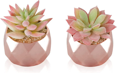 Artificial Plants Desk Fake Succulents Indoor Decor Office Room Decoration Small Tiny Realistic Plants in White Ceramic Potted (Pink-Gold)