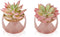 Artificial Plants Desk Fake Succulents Indoor Decor Office Room Decoration Small Tiny Realistic Plants in White Ceramic Potted (Pink-Gold)