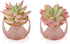 Artificial Plants Desk Fake Succulents Indoor Decor Office Room Decoration Small Tiny Realistic Plants in White Ceramic Potted (Pink-Gold)