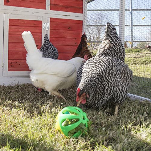 Ware Manufacturing Peck N Play Chicken Ball Toy