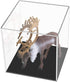 Cliselda Clear Acrylic Display Case with Black Base, Countertop Box Cube Organizer Stand Riser Dustproof Protection Showcase for Action Figures Toys Collectibles (4x4x4 Inch)