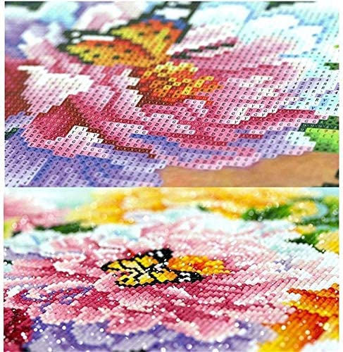 DIY 5D Full Drill American Native Indian Beauty and White Horse Square Diamond Painting by Number Kits for Adults & Children Crystal Rhinestone Cross Stitch for Wall Decoration Gift 30x40CM/12x16IN