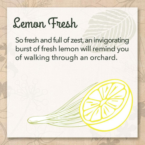 Eco-me Natural Multi Purpose Cleaner and Polish, Healthy Lemon Fresh Scent, 16 Fl Oz