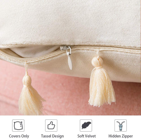 MIULEE Pack of 2 Velvet Soft Solid Decorative Throw Pillow Cover with Tassels Fringe Boho Accent Cushion Case for Couch Sofa Bed 20 x 20 Inch Cream White