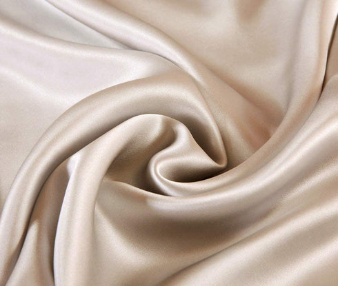 Ravmix 100% Silk Pillowcase for Hair and Skin with Hidden Zipper, Both Sides 21Momme Mulberry Silk, 1PCS, Standard Size 20—26inches, Beige