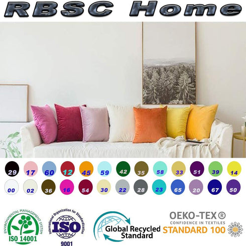 RBSC Home Pack of 2 Velvet Pillow Covers Decorative Square Pillowcase Soft Solid Cushion Case with Hidden Zipper for Sofa Bedroom 18 X 18 Inch