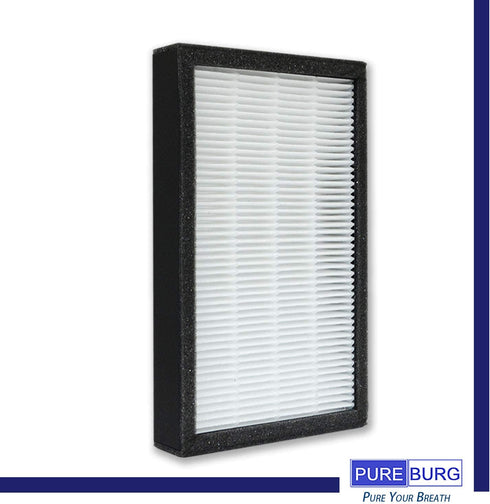 PUREBURG Replacement HEPA Filter Set 2+8 Compatible with FLT4100 AC4100 Filter E, AC4100CA AC4150BL AC4150PCA AC4150PC Part Number FLT11CB4