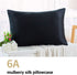 ZIMASILK 100% Mulberry Silk Pillowcase for Hair and Skin Health,Soft and Smooth,Both Sides Premium Grade 6A Silk,600 Thread Count,with Hidden Zipper,1pc(Standard 20''x26'',Black)