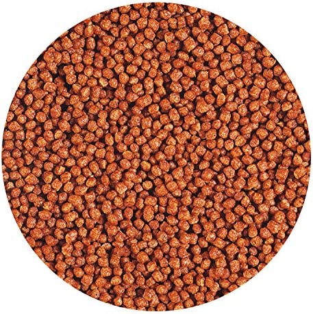 Hikari Tropical Betta Bio-Gold Fish Food, 0.70 oz (20g)