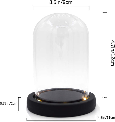 Nynelly 3.5" D X 4.7" H Clear Glass Dome Cloche with Black LED Lights Base,Glass Display Bell Jar Ornament