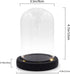 Nynelly 3.5" D X 4.7" H Clear Glass Dome Cloche with Black LED Lights Base,Glass Display Bell Jar Ornament