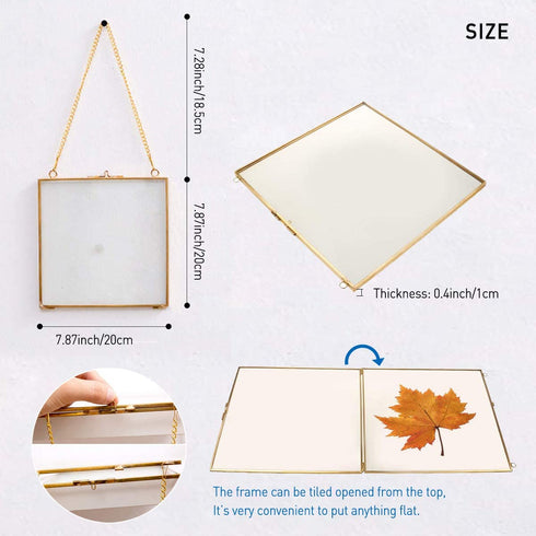 Daisylily 8x8 Inch Brass Hanging Photo Frame, Copper Glass Picture Frames Clip Modern Wall Decor Plant Specimen Artwork Ornament Display Gold Square