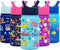 Simple Modern Kids Water Bottle with Straw Lid | Insulated Stainless Steel Reusable Tumbler for Toddlers, Girls, Boys | Summit Collection | 14oz, Paw Patrol Adventures