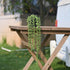 Tengda Fake Potted Succulents Plants 2Pcs Artificial Hanging Strings of Pearls Plastic Tabletop Greenery for Front Door Kitchen Bathroom Indoor d©cor (Succulent)