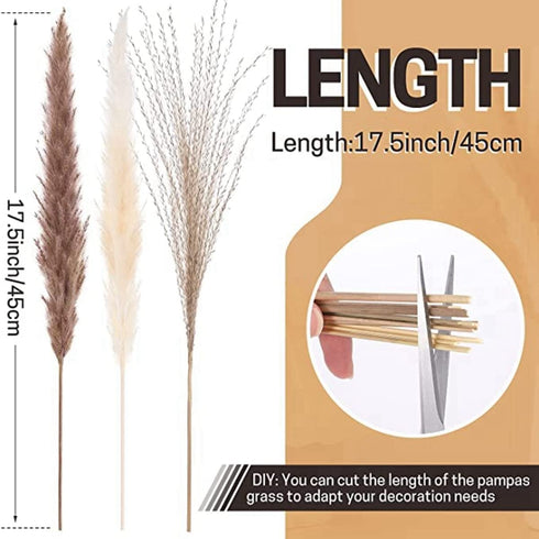 Jethami 60pcs Dried Pampas Grass, Tall Pompous Grass Large Fluffy Pampas Grass Small Pompass Branches Bouquet Pampass Bundle Pompas Floral Boho Decor