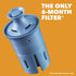 Brita Longlast Pitcher and Dispenser Replacement Water Filters, Blue, 1 Count