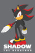Pyramid America Sonic The Hedgehog Shadow Sega Video Game Gaming Cool Wall Decor Art Print Poster 12x18