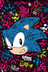 Pyramid America Sonic The Hedgehog Emerald Club World Tour Sega Video Game Gaming Cool Wall Decor Art Print Poster 12x18