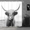 Riyidecor Highland Cow Bull Shower Curtain 60Wx72H Inch Farmouse Western Wildlife Portrait Animal Funny Country 12 Pack Plastic Hooks Kids Sketch Waterproof Fabric Modern Polyester Bathroom Decor