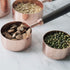 Measuring Cups Set, TeenGo Stainless Steel Copper Measuring Cups Set for Dry, Liquid Ingredients with Wooden Handle Used for Cooking & Baking