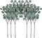 ZHIIHA Pack of 6 Eucalyptus Stems Artificial Silver Dollar Leaves Artificial Greenery Faux Holiday Greens Flower Leaf Arrangement for Home Decor