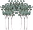 ZHIIHA Pack of 6 Eucalyptus Stems Artificial Silver Dollar Leaves Artificial Greenery Faux Holiday Greens Flower Leaf Arrangement for Home Decor