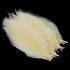 SPDD 100pcs Natural Magnolia Skeleton Leaf,Magnolia Leaf Dried Leaves Samples for Card Scrapbook Embossing DIY Candles Craft Gift