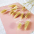 Beau Jour Natural Dried Lagurus ovatus 100 Pcs, Dried Bunny Tails Pampas for Flower Arrangements Wedding Home Decor
