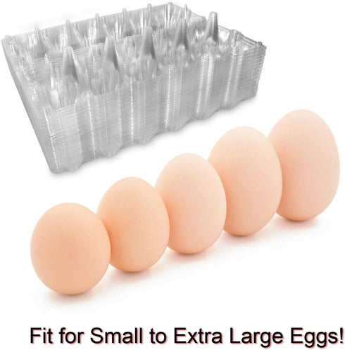 Large Egg Cartons 30 Packs with Sticker Labels, Plastic Egg Carton for 12 Eggs, Cheap Bulk Egg Tray Egg Container Holder for Refrigerator, Storage, Family, Chicken Farm, Market, Camping