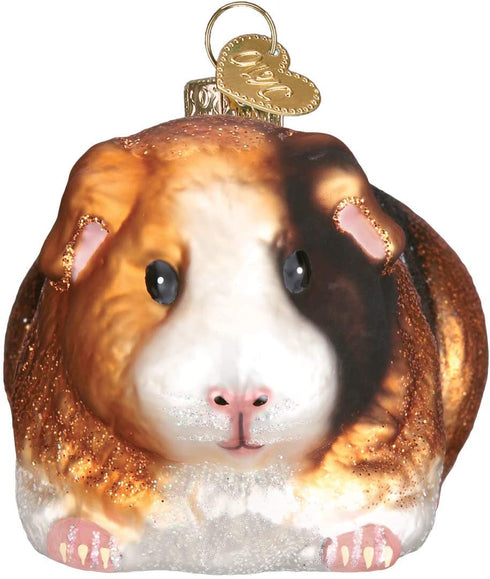 Old World Christmas Guinea Pig
