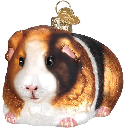 Old World Christmas Guinea Pig