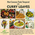 Ceylon flavors Curry Leaves Gluten Free Naturally Air Dried Herbs Fresh Groceries with All Flavors Asian Food Indian Spices Pure and Organic - Kari Patta 0.7oz/ 20 g