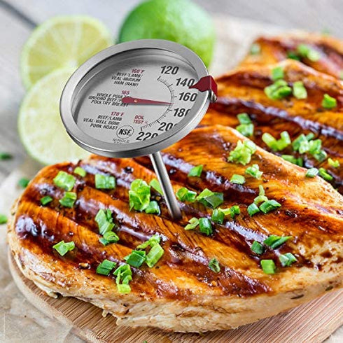 SINARDO Roasting Meat Thermometer T731, Oven Safe, Large 2.5-Inch Easy-Read Face, Stainless Steel Stem and Housing