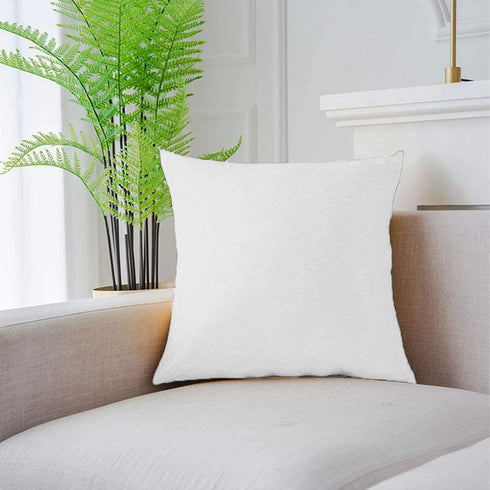 RBSC Home Pack of 2 Velvet Pillow Covers Decorative Square Pillowcase Soft Solid Cushion Case with Hidden Zipper for Sofa Bedroom 18 X 18 Inch