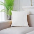 RBSC Home Pack of 2 Velvet Pillow Covers Decorative Square Pillowcase Soft Solid Cushion Case with Hidden Zipper for Sofa Bedroom 18 X 18 Inch