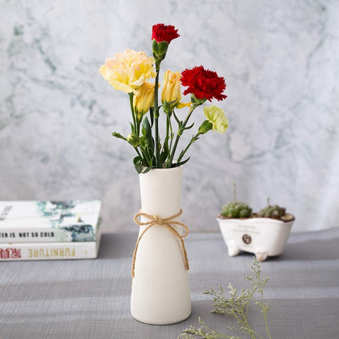 WEIDILIDU White Ceramic Vase Modern Home Decoration Porcelain Vase Vase Matte White Design (weidi-716 White)