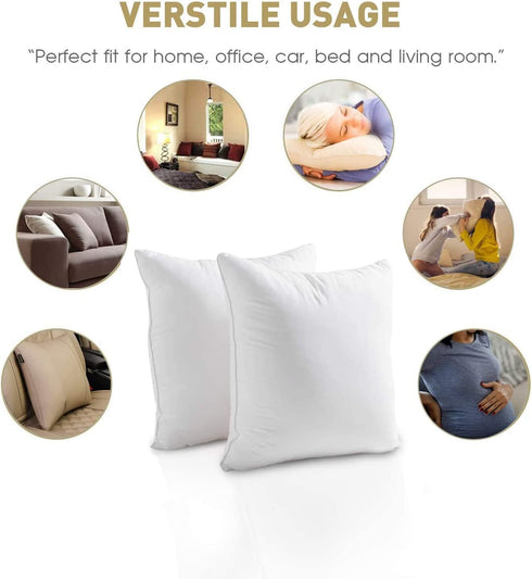 Lipo 18 x 18 Pillow Inserts (Set of 2) - Throw Pillow Inserts - Euro Pillow Inserts Down Pillow Inserts - Decorative Pillow Insert Pair - White Couch Pillow
