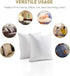 Lipo 18 x 18 Pillow Inserts (Set of 2) - Throw Pillow Inserts - Euro Pillow Inserts Down Pillow Inserts - Decorative Pillow Insert Pair - White Couch Pillow