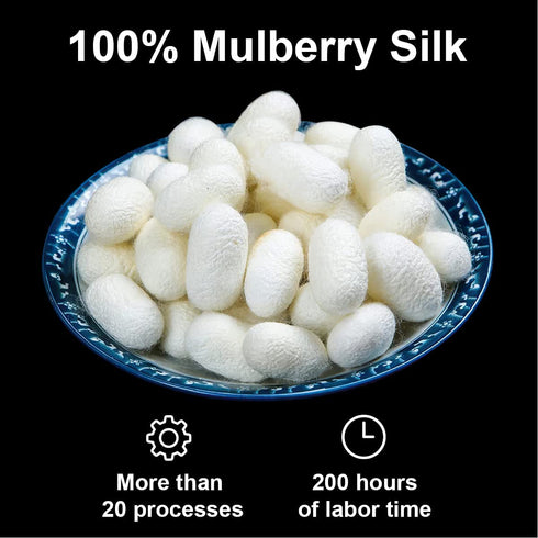 HOTBALZER Mulberry Silk Pillowcase for Hair and Skin, 22 Momme Natural 100% Silk Pillowcases Standard Size with Zipper, Soft Breathable Both Sides Pure Silk Pillow Cover, 1pc (Grey,Standard)