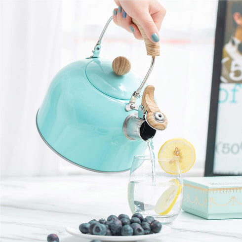 ROCKURWOK Tea Kettle, Stovetop Whistling Teapot, Stainless Steel, Blue, 2.43-Quart