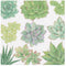 Caspari Succulents Paper Luncheon Napkins - 40 Count