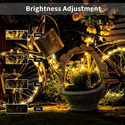 echosari 100 LEDs Outdoor LED Fairy String Lights Battery Operated with Remote (Dimmable, Timer, 8 Modes) - Warm White