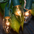 Romasaty C9 Christmas String Lights,Outdoor Weatherproof Lighting Incandescent Replacement String Lights with 25FT Warm White Clear Bulbs for Christmas Lights Commercial Grade-Green Wire