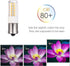 Makergroup BA15s Single Contact Bayonet LED 12V S8 1141 1156 LED Light Bulb 3W 2700K-3000K for Outdoor Landscape Lighting Path Deck Lights RV Lighting Warm Color 6pcs