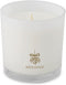 Root Candles Holiday Beeswax Blend Scented Candle, 1 EA, Mistletoe
